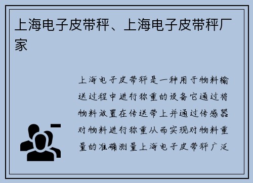 上海电子皮带秤、上海电子皮带秤厂家